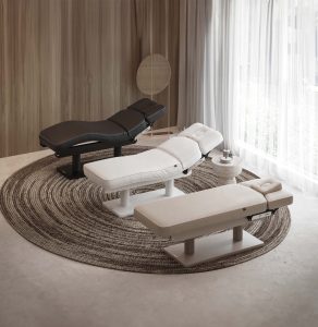 Masă de masaj și tratamente estetice, spa, Lemi Gemini Evo